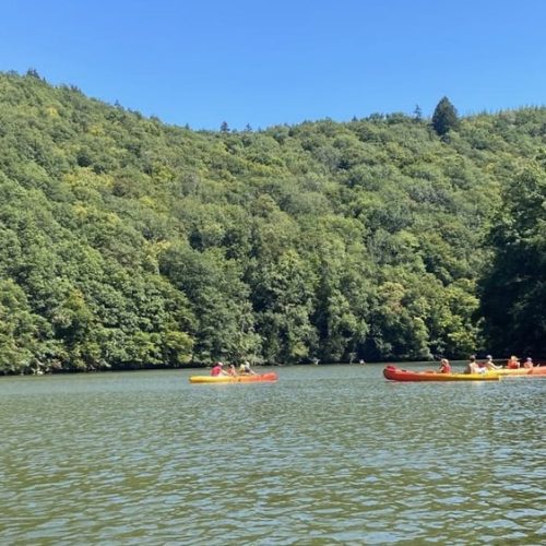 8d0bf346-f3e5-487a-8e82-9a7069a31a75 (1)